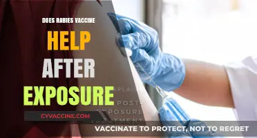 Rabies Vaccine Post-Exposure: Can It Still Save Your Life?