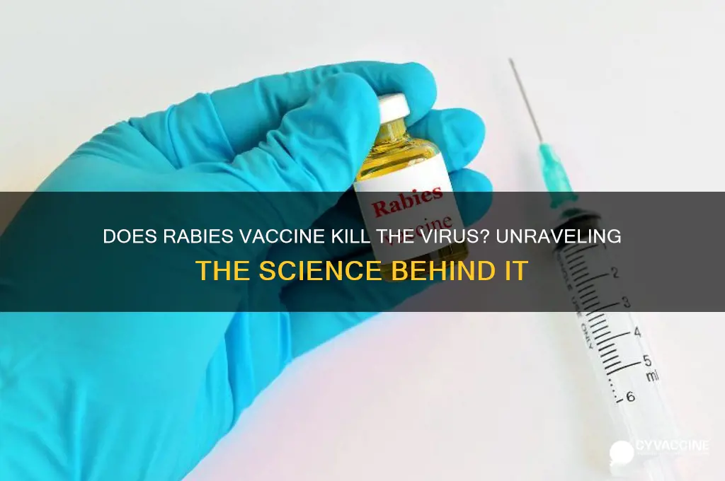 does rabies vaccine kill the virus