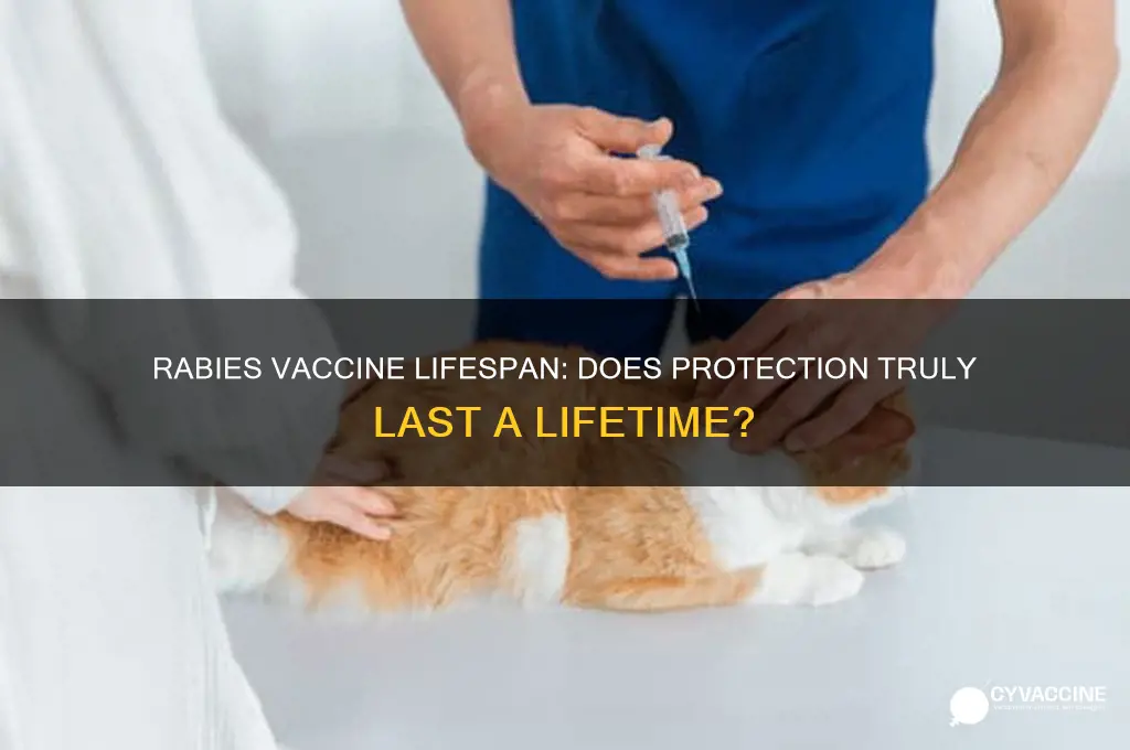 does rabies vaccine last for life