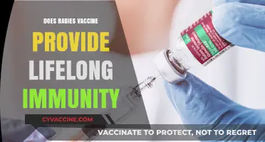 Rabies Vaccine: Does It Offer Lifelong Immunity? Unveiling the Facts