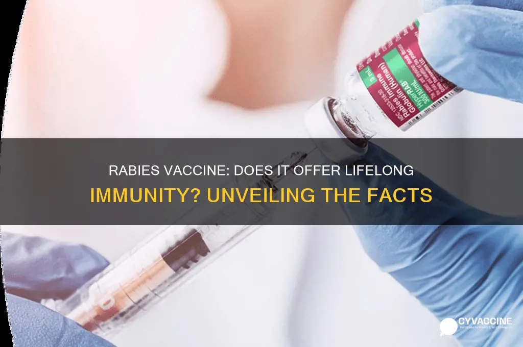 does rabies vaccine provide lifelong immunity