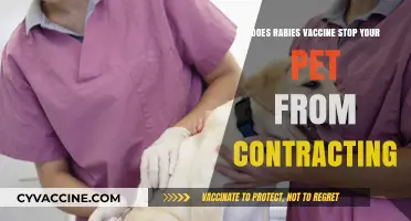 Rabies Vaccine: Protecting Your Pet from Contracting Rabies