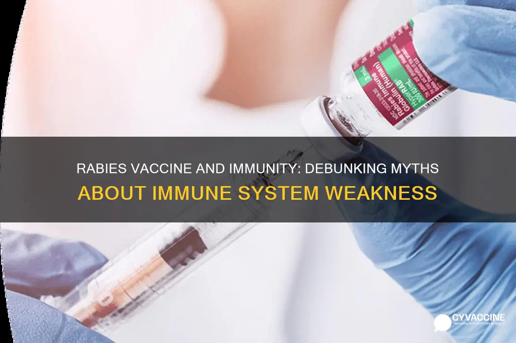does rabies vaccine weaken immune system