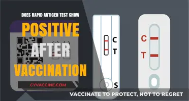 Antigen Testing: Positive Results Post-Vaccination?
