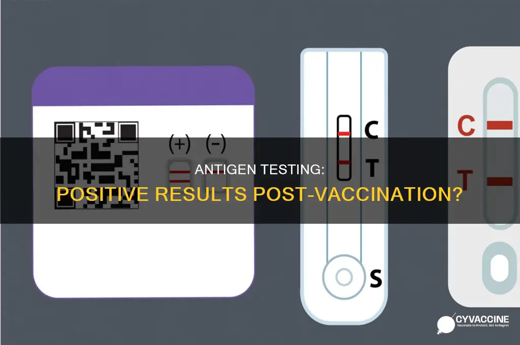 does rapid antigen test show positive after vaccination