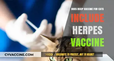 RCCP Vaccine: Does It Cover Feline Herpes?