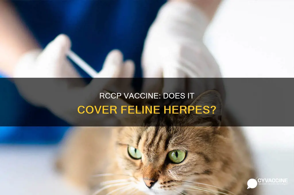 does rccp vaccine for cats include herpes vaccine