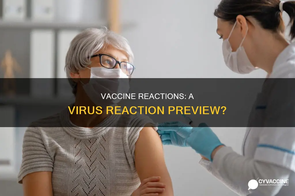 does reaction to vaccine indicate reaction to virus