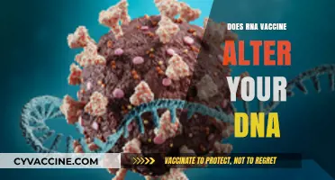 RNA Vaccines and DNA: Separating Fact from Fiction
