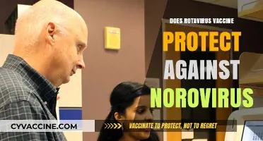 Rotavirus Vaccine: Does It Offer Protection Against Norovirus Too?