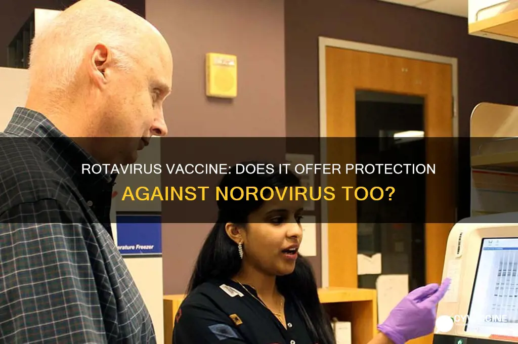 does rotavirus vaccine protect against norovirus