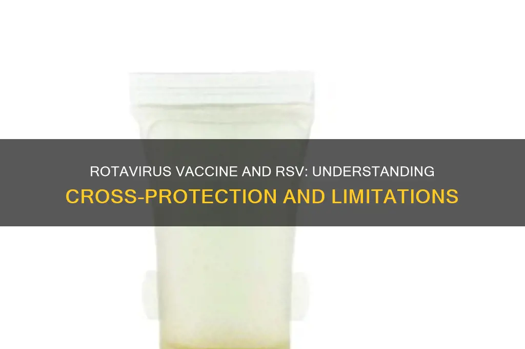 does rotavirus vaccine protect against rsv