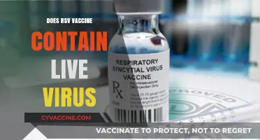 RSV Vaccine: Does It Contain Live Virus? Facts Explained