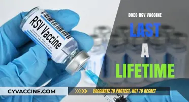 RSV Vaccine Longevity: Does Protection Last a Lifetime?