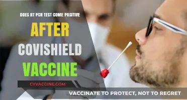 PCR Tests: Post-Vaccine Positives Explained