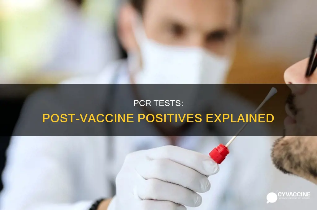 does rt pcr test come positive after covishield vaccine