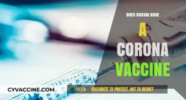Russia's COVID-19 Vaccine: Development, Efficacy, and Global Implications Explored