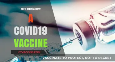 Russia's COVID-19 Vaccine: Development, Efficacy, and Global Impact Explained