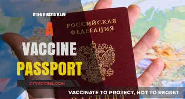 Russia's Vaccine Passport System: Implementation, Impact, and Global Comparison