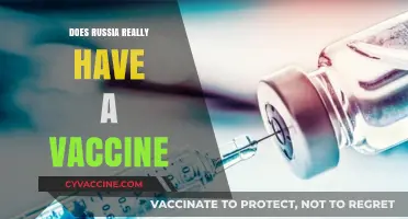 Russia's COVID-19 Vaccine: Fact, Fiction, or Global Game-Changer?