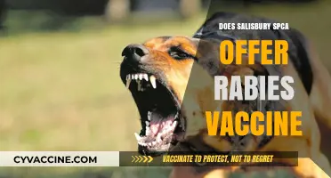 Does Salisbury SPCA Provide Rabies Vaccines? Essential Pet Health Info