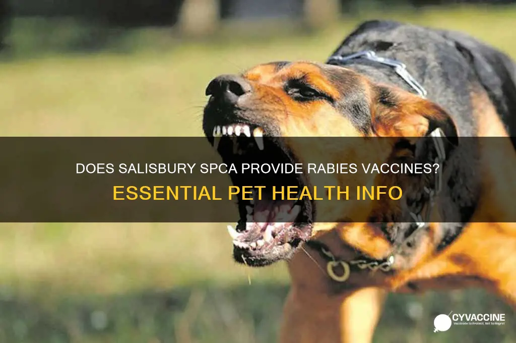 does salisbury spca offer rabies vaccine