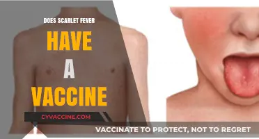Scarlet Fever Vaccine: Current Status and Prevention Strategies Explained