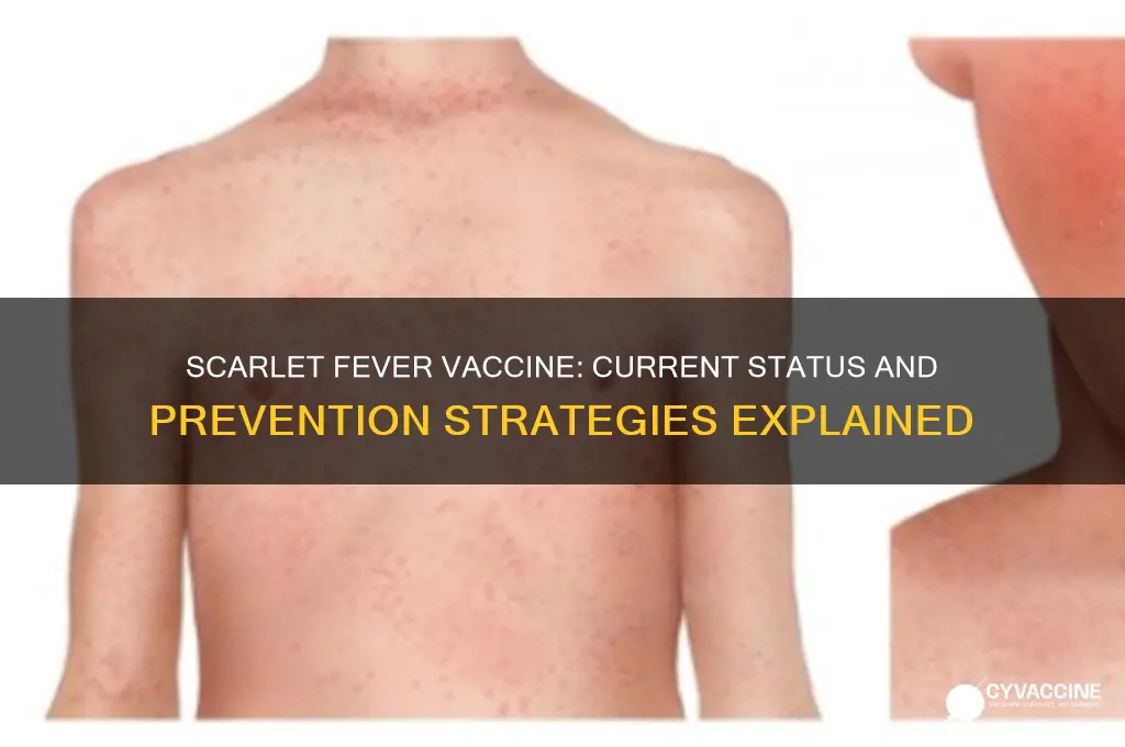 does scarlet fever have a vaccine