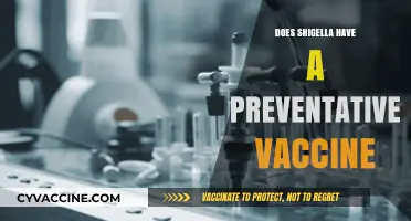 Preventing Shigella Infections: Exploring the Availability of a Vaccine