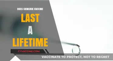 Shingrix Vaccine Longevity: Does Protection Last a Lifetime?
