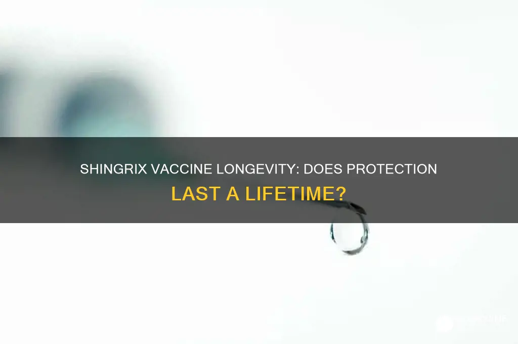 does shingrix vaccine last a lifetime