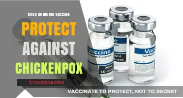 Shingrix Vaccine: Does It Protect Against Chickenpox or Just Shingles?