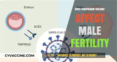 Sinopharm Vaccine and Male Fertility: Separating Facts from Fiction