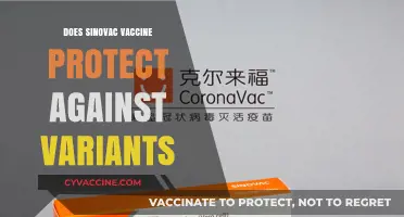 Sinovac Vaccine Efficacy: Protection Against Emerging COVID-19 Variants Explained