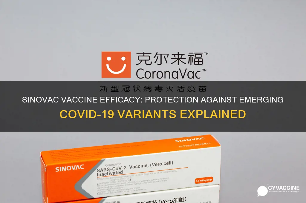 does sinovac vaccine protect against variants