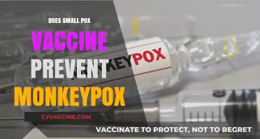 Can the Smallpox Vaccine Protect Against Monkeypox? What We Know
