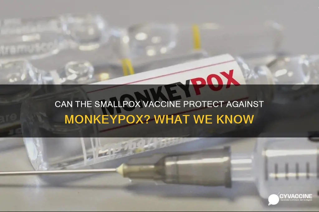 does small pox vaccine prevent monkeypox