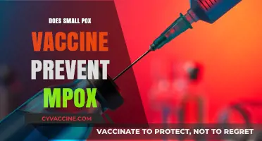 Can the Smallpox Vaccine Protect Against Mpox? What We Know
