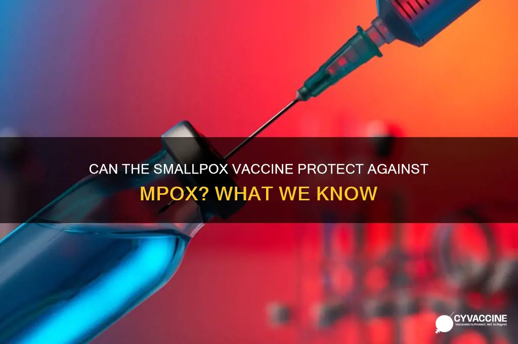 does small pox vaccine prevent mpox