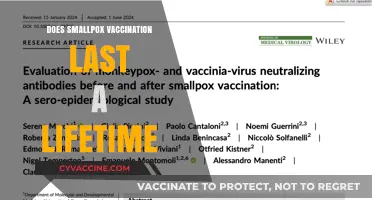 Does Smallpox Vaccination Provide Lifelong Immunity? What Research Shows
