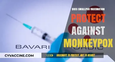 Smallpox Vaccination: Potential Shield Against Monkeypox Explained