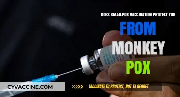 Smallpox Vaccination: Effective Shield Against Monkeypox?
