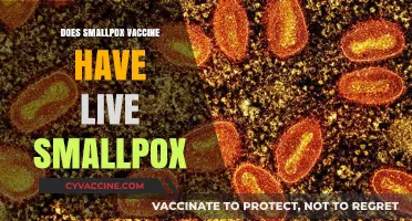Does the Smallpox Vaccine Contain Live Smallpox Virus?
