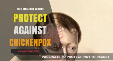 Smallpox Vaccine vs. Chickenpox: Unraveling Cross-Protection Myths and Facts
