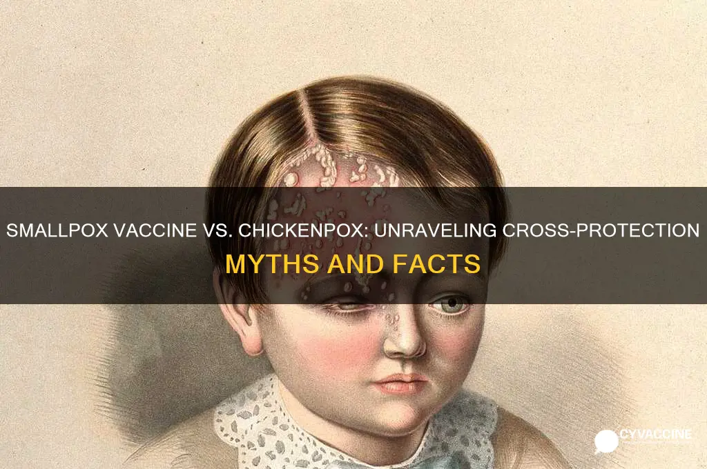 does smallpox vaccine protect against chickenpox