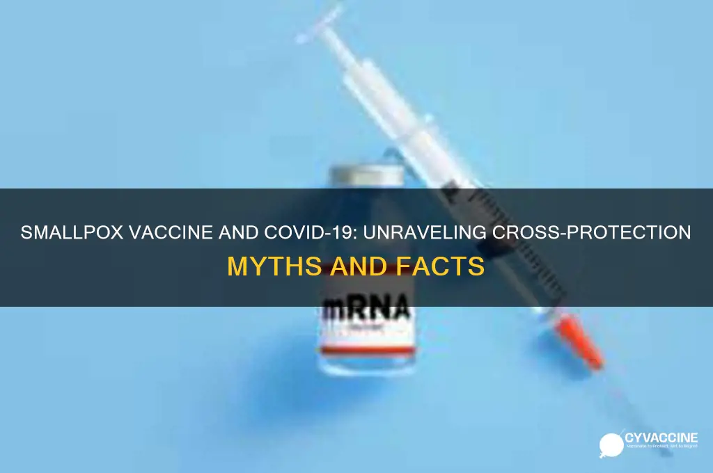 does smallpox vaccine protect against coronavirus