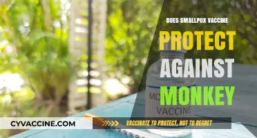 Smallpox Vaccine's Potential Role in Monkeypox Protection: What We Know