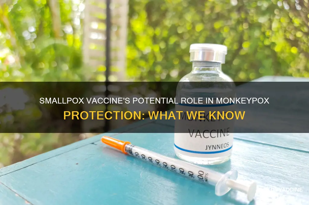 does smallpox vaccine protect against monkey