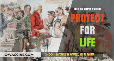 Does Smallpox Vaccine Offer Lifelong Immunity? Exploring the Facts