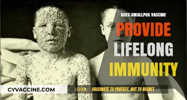 Smallpox Vaccine: Lifelong Immunity or Temporary Protection?